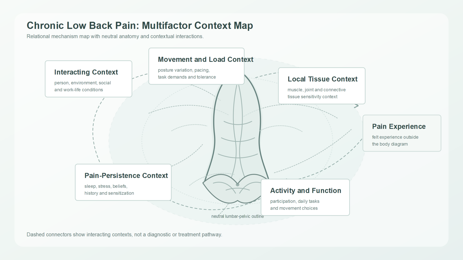 Educational chronic low back pain context map showing movement or load context, local tissue context, pain experience, pain persistence context, activity and function, and interacting factors.